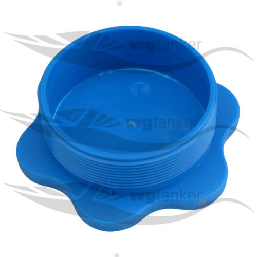Blank Plugs